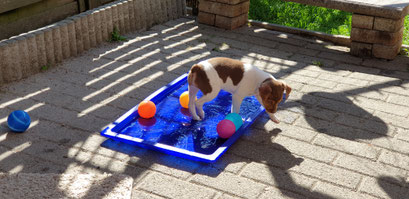 26.06.2020 - Elaine im Wasserbad