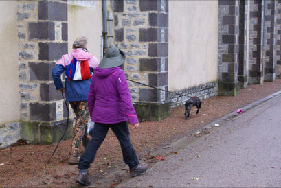 12 weken, 1e keer trail in bebouwing