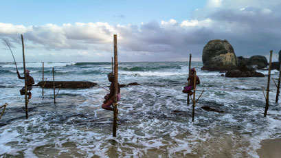 Paalvissers, Unawatuna, Sri Lanka