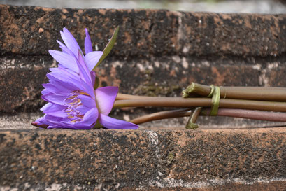 Bloemenoffer, Sri Lanka