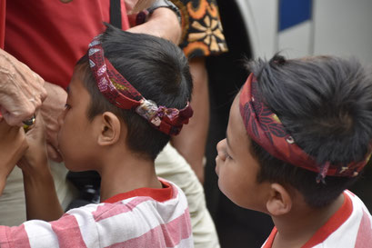 Wat is dat? plantage tour, Kalibaru, Java, Indonesië (2019)