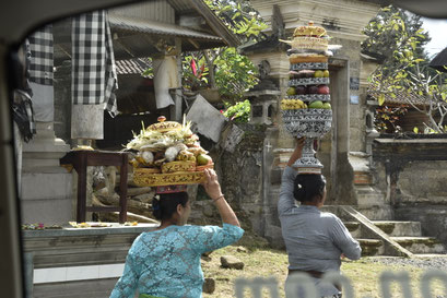 Voorbereiding begrafenis, Ubud, Bali, Indonesië. (2019) 