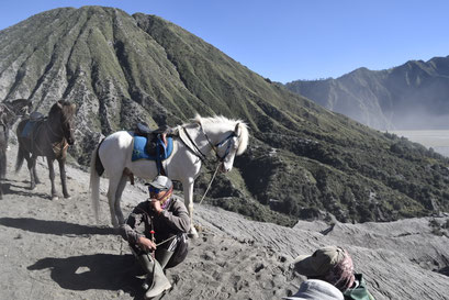 Paardenverhuurder bij Mount Bromo, Java, Indonesië (2019) 