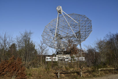 Dwingelerveld 2020