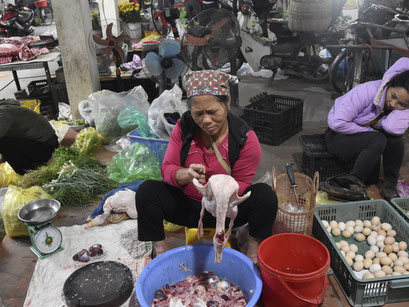 Eendenplukster, markt Ninh Binh, Vietnam 2022