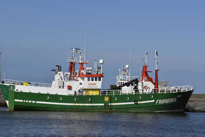 Lauwersoog, 2019