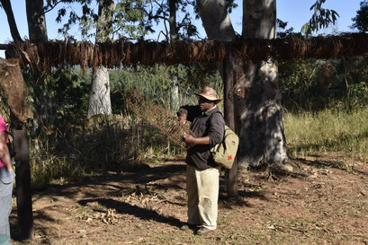 Gids, Mlilwane Wildlife Sanctuary, Swaziland (2018)