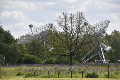 Westerbork 2019
