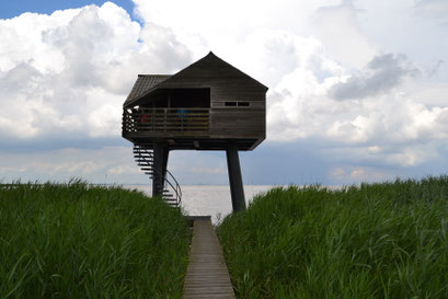 Kiekkaste, Nieuw Statenzijl 2017