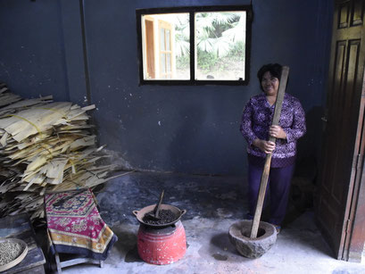 Stampertje, Plantage tour, Kalibaru, Java, Indonesië (2019)