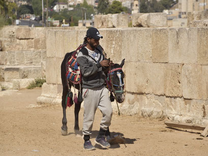 Stalknecht, Jerash, Jordanië.(2021) 