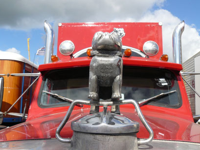 Truckstarfestival 2010