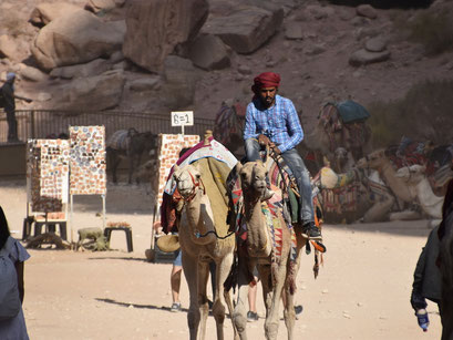 Kameelverhuurder, Petra, Jordanië (2021)