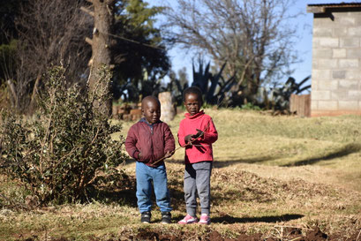 Boefjes, Malealea, Lesotho (2018)
