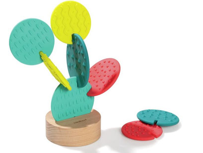 Cactus sensoriel