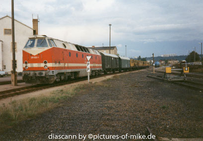 219 022-1 am 07.10.1994 auf Gleis 82 im Gbf. Pirna mit 81361 Pirna - Satzkorn.