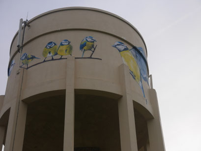 photo d'une fresque sur le château d'eau de Savolles réalisé par Coron Thibaud représentant des mésanges
