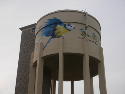 photo d'une fresque sur le château d'eau de Savolles réalisé par Coron Thibaud représentant des mésanges