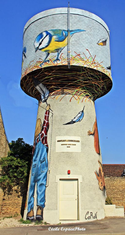 photo d'une fresque sur château d'eau en côte d'or par l'artiste Thibaud Coron