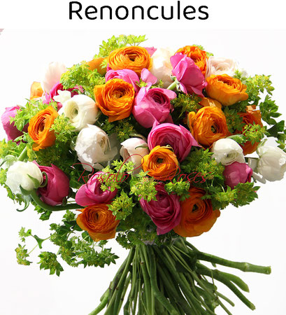 Renoncules