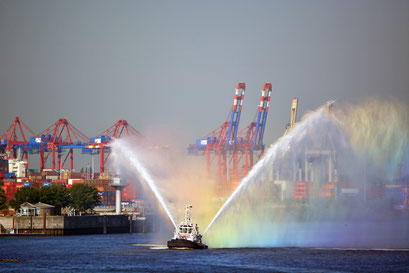 Erstanlauf der AZAMARA QUEST in Hamburg am 23.07.2013, hier an den St. Pauli Landungsbrücken