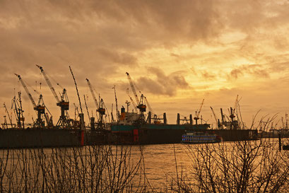 Blick über die Elbe zum Dock 11