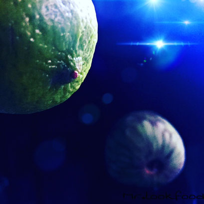 Planet Veggie