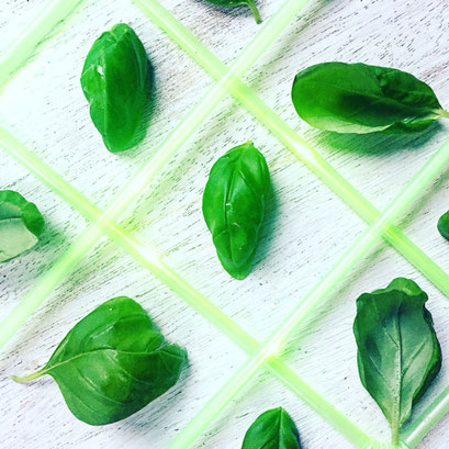 Basil