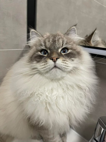 Yuki du Domaine de Malou