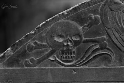 "Perpetual Sneer – Salem,  Massachusetts 