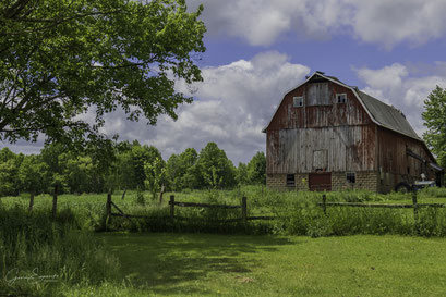 Summer's Allegory To An Aging Barn