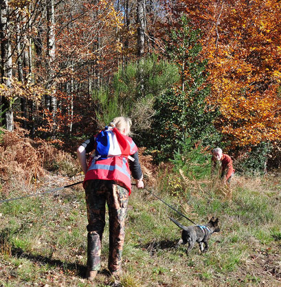 premiers pas dans l'entrainement recherche utilitaire..8 semaine