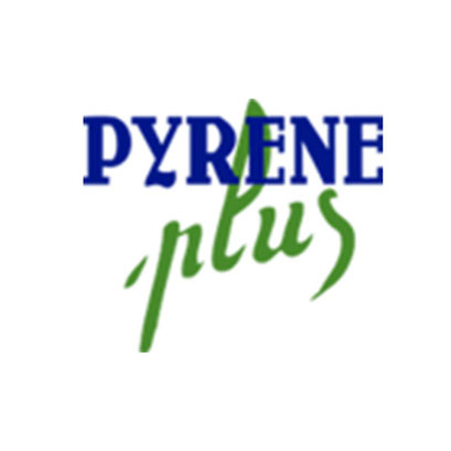 Pyrene Plus