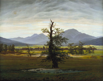 Der einsame Baum