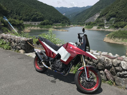 SUZUKI DR800S