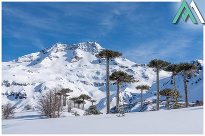 Vulkan Skitouren in Chile mit AMICAL ALPIN