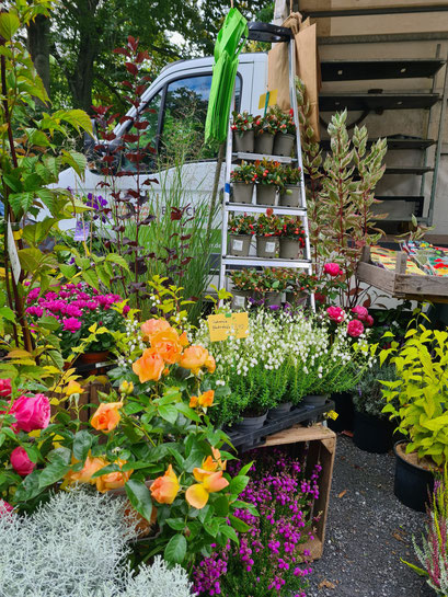 Blumenstand