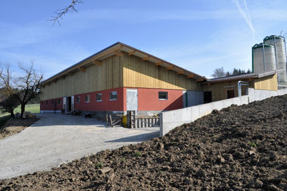 Pultdach Schweinestall