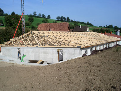 Schweinestall mit Nagelplattenbinder