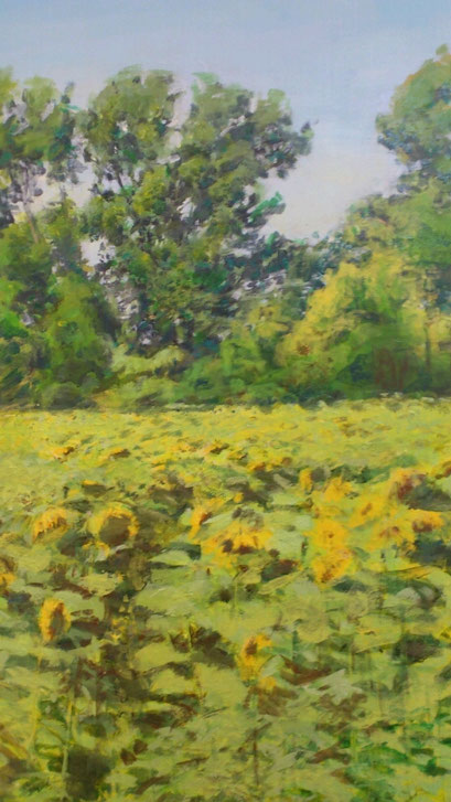 "Sonnenblumenfeld(Bei Münchendorf), Öl/Acryl, 100x180cm, 2012