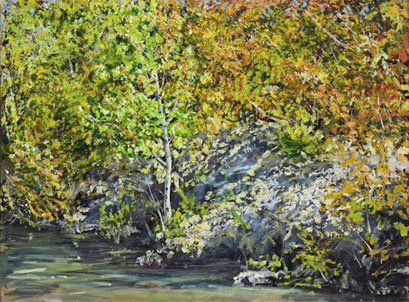 "Ufer (Dürrsee bei Münchendorf)", Acryl, 80x60cm, 2008
