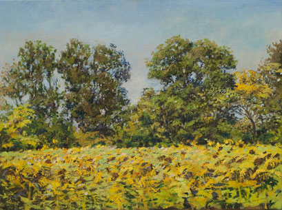 "Sonnenblumenfeld (Bei Münchendorf)", Acryl, 80x60cm, 2008
