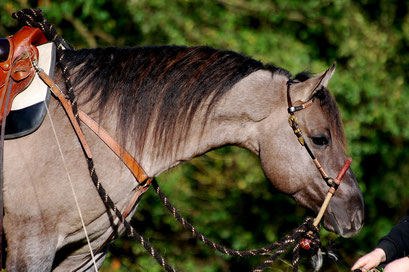 Herbst 2012