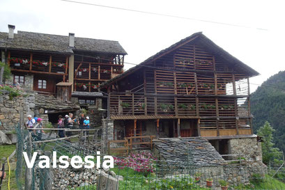 Valsesisa