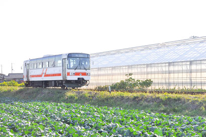 紀州鉄道　営業距離2.7キロメートルの西日本一短い鉄道。 北出病院最寄りの「学門駅」は駅名が「学問」に通じることから、学業御守として入場券や入場券を形取ったキーホルダーが販売され、全国の学生や受験生から注目を集めています。