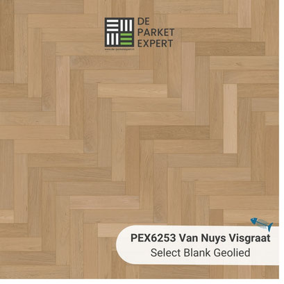 PEX6253 Van Nuys Select Blank Geolied