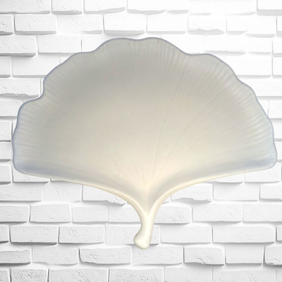 Feuille de Ginkgo biloba (180 / 145 mm) blanc - 9,50€