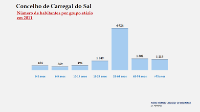 Carregal do Sal  – Número de habitantes por grupo de idades 