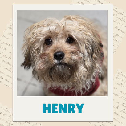 Henry