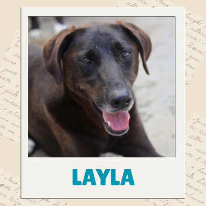 Layla